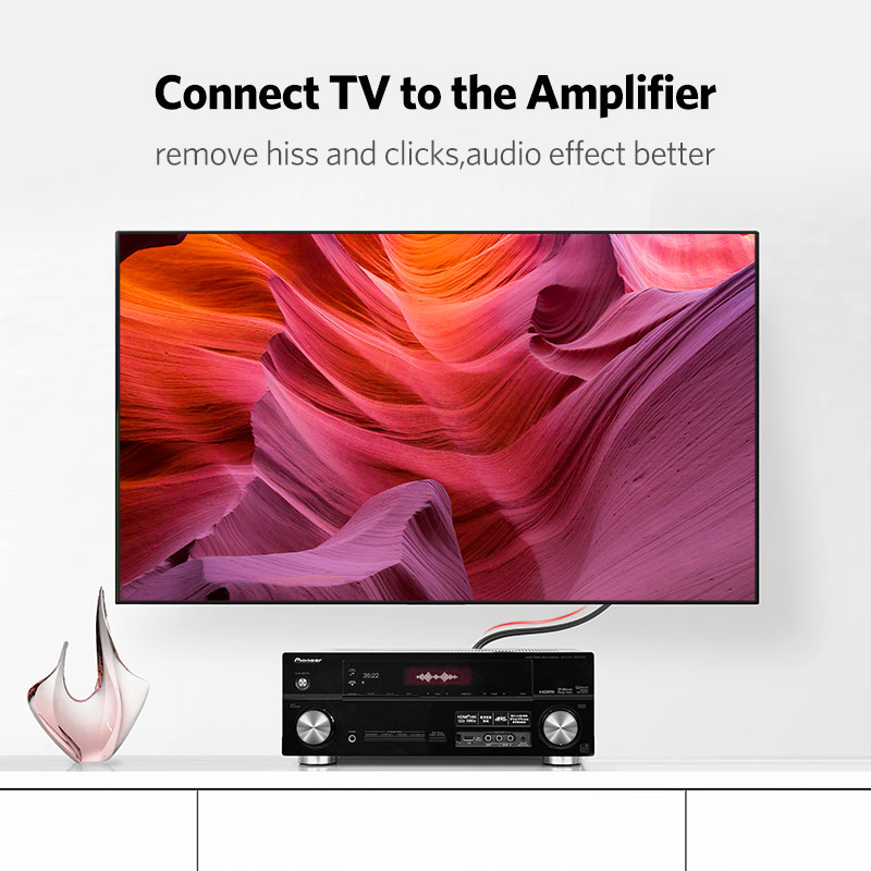 UGREEN 2RCA to 2 RCA Male to M - Home Cinema Player ulasan dan harga